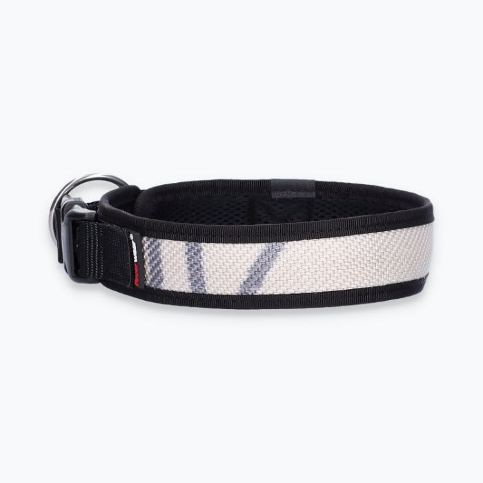 Hunde-Halsband Timmy - ht45200015