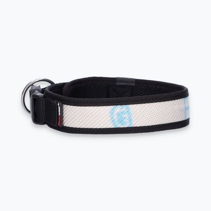 Hunde-Halsband Timmy - ht45200064