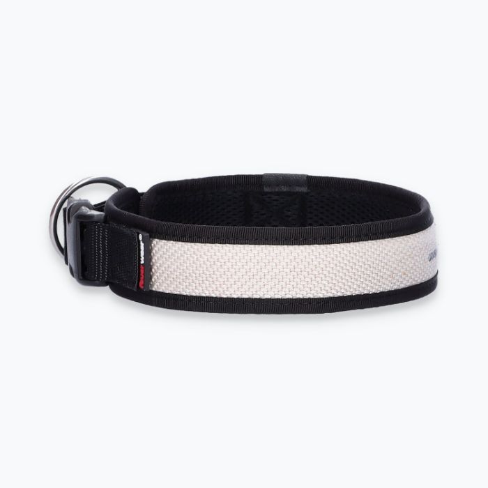 Hunde-Halsband Timmy - ht45200091