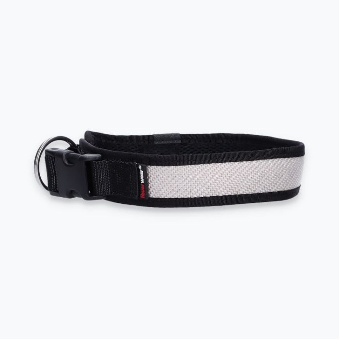 Hunde-Halsband Timmy - ht45200168
