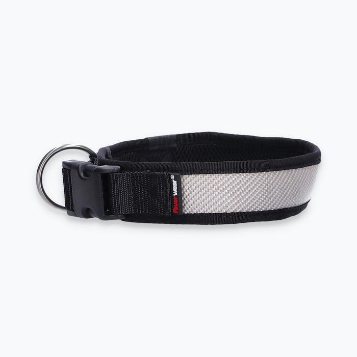 Hunde-Halsband Timmy L 45-50 cm - ht45200209