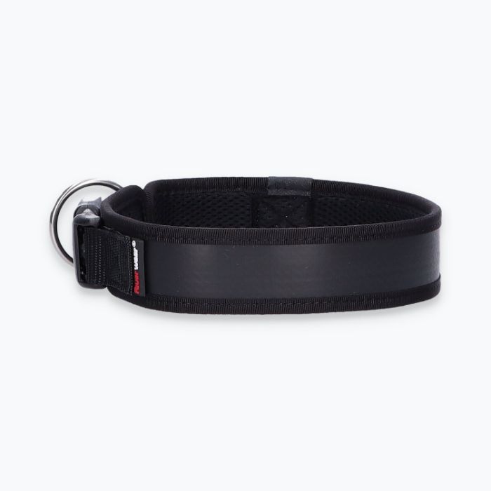 Hunde-Halsband Timmy L 45-50 cm - ht45400034