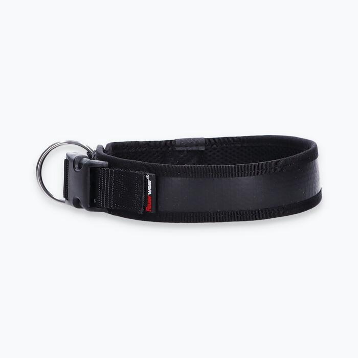 Hunde-Halsband Timmy L 45-50 cm - ht45400111