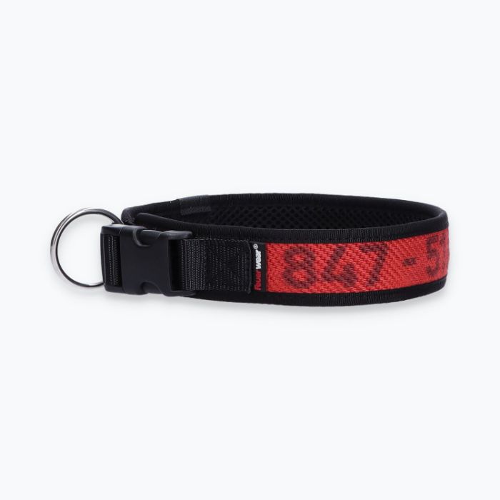 Hunde-Halsband Timmy - ht50300163