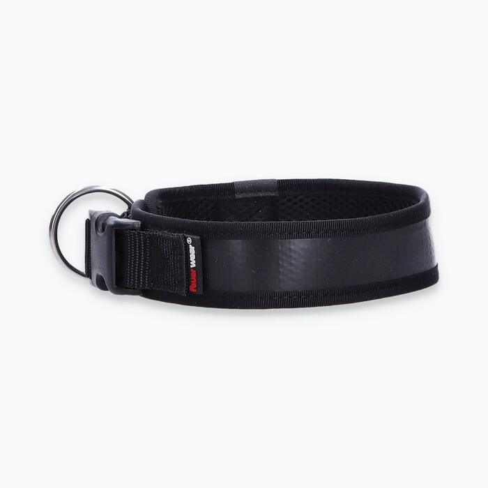 Hunde-Halsband Timmy L 45-50 cm - ht45400106