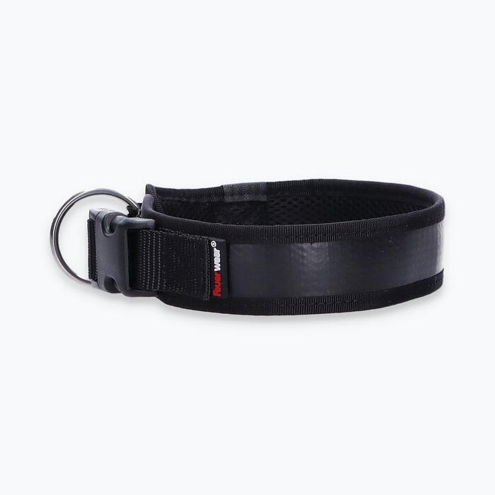 Hunde-Halsband Timmy L 45-50 cm - ht45400113