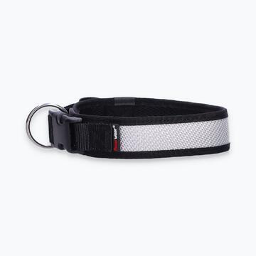 Hunde-Halsband Timmy L 45-50 cm - ht45200179