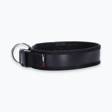 Hunde-Halsband Timmy L 45-50 cm - ht45400085