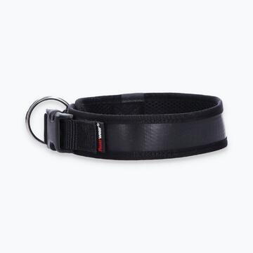 Hunde-Halsband Timmy L 45-50 cm - ht45400106